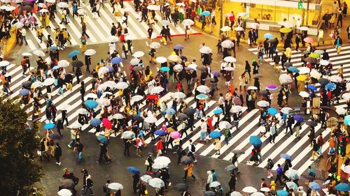 High angle view of people walking on street,walking on cross walk way,tokyo,japan,working time