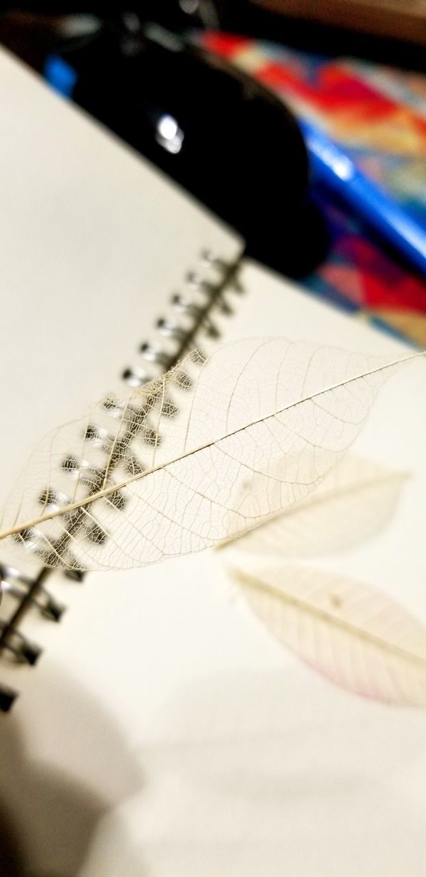 CLOSE-UP OF PENCIL ON BOOK