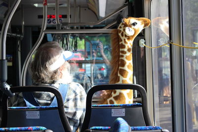 Rear view of man with giraffe toy in bus