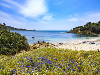 Scenic view of sea against sky