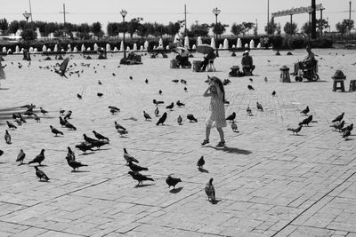 Full length of girl standing amidst birds on pedestrian walkway in city during sunny day