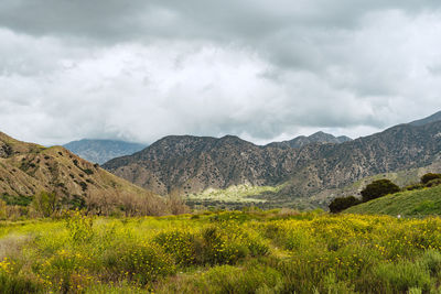 Scenic view of landscape against sky