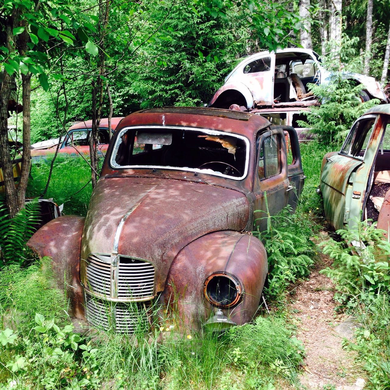 transportation, mode of transport, land vehicle, abandoned, obsolete, car, old, tree, run-down, damaged, deterioration, rusty, old-fashioned, field, travel, day, stationary, train - vehicle, outdoors, vintage car