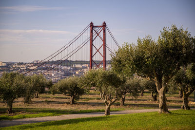 View of suspension bridge