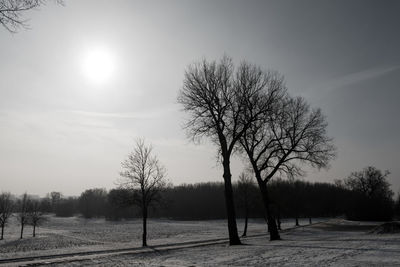 Silhouette bare tree on field against sky