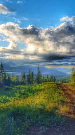 Scenic view of field against cloudy sky