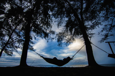 Silhouette trees by sea against sky