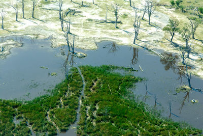 High angle view of a lake