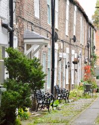 Bicycles in city