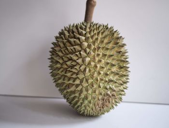 Close-up of fruit on plant against white background
