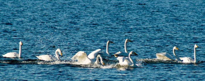 View of sea against blue sky