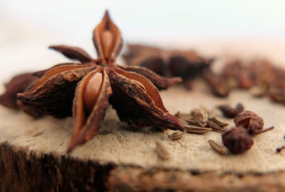 Close-up of star anise