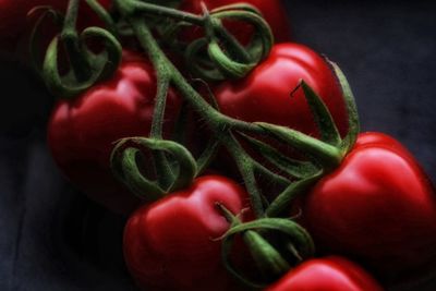 Close-up of tomatoes against black background