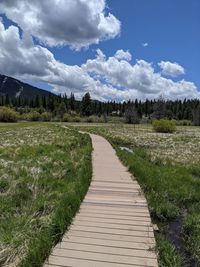 Boardwalk amidst plants on field against sky