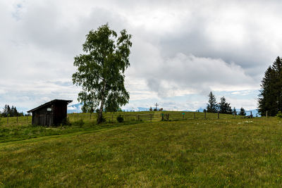 Trees on field against sky