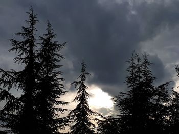 Low angle view of silhouette trees against sky