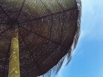 Low angle view of tree against sky