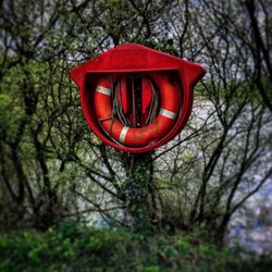 Red basketball hoop against trees