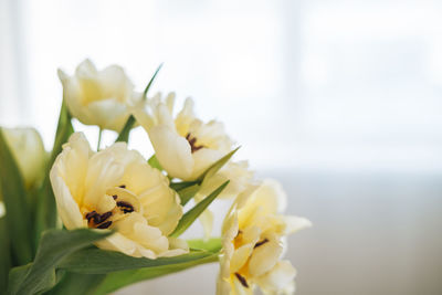 Beautiful bouquet of yellow tulips in vase om window sill at the home, natural background