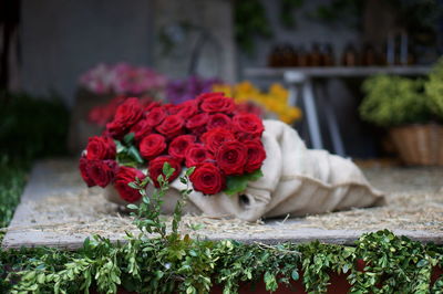 Close-up of rose bouquet