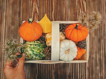 Background of autumn harvest of small orange different pumpkins close up. top view. 