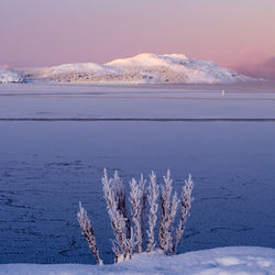 Scenic view of frozen sea against mountain