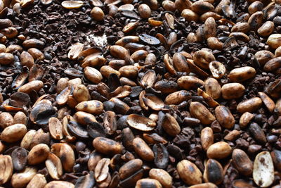 Full frame shot of coffee beans