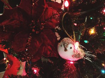 Close-up of illuminated christmas tree at night