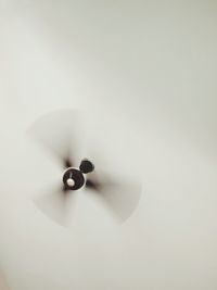 Low angle view of fan at the ceiling