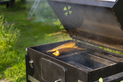 Close-up of salomon fish on barbecue grill