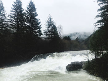 Scenic view of waterfall in forest against sky