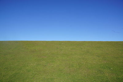 Scenic view of field against clear blue sky