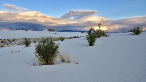 Scenic view of snow covered land against sky