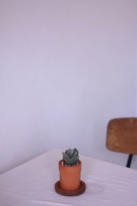 Close-up of potted plant on table at home