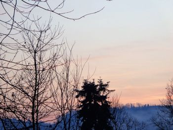 Silhouette bare trees against sky during sunset