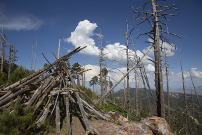 Low angle view of landscape against blue sky