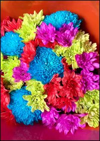 Close-up of multi colored flowers