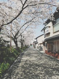 Street amidst trees and buildings against sky