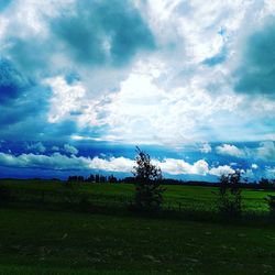 Scenic view of field against sky