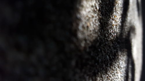 Close-up of caterpillar on surface