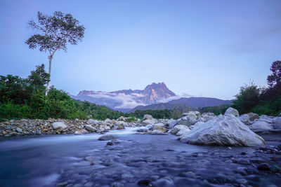 Surface level of stream against clear blue sky