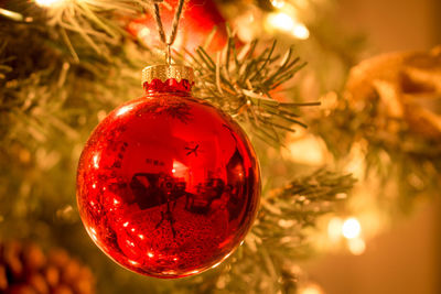 Close-up of christmas decorations hanging on tree