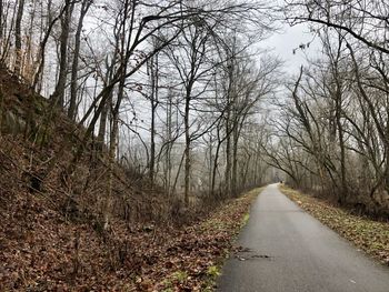 Road amidst trees in forest