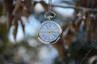 Close-up of a pocket watch hanging in a tree. 