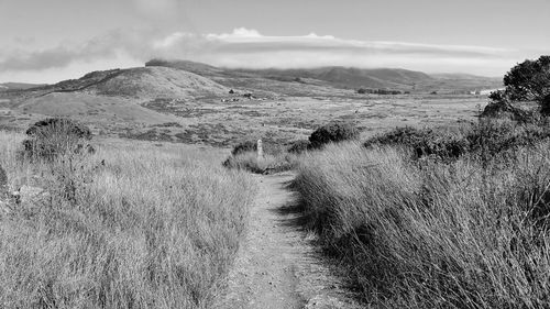 Scenic view of landscape