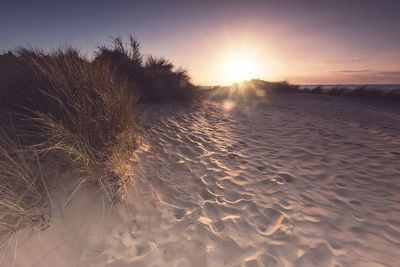 Scenic view of beach against sky during sunset