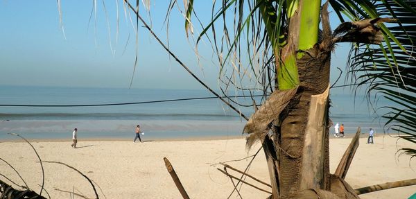 People on beach by sea against sky