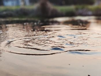 Close-up of wet puddle