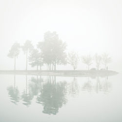 Trees by lake against sky