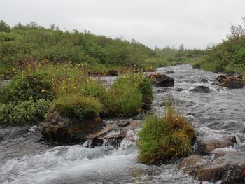 Stream flowing through rocks in forest against sky